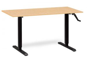 Standing Desk MultiTable 23