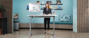 Sit To Standing Desk FlexTable Height Adjustable Office Desk MultiTable