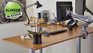Standing Desk Adjustable Electric L Shape Multitable