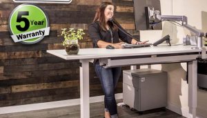 Standing Desk Adjustable Electric Multitable