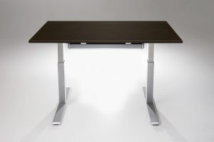 Mod E Pro Height Adjustable Standing Desk Silver Base Libretti Table Top With Cable Management Tray MultiTable