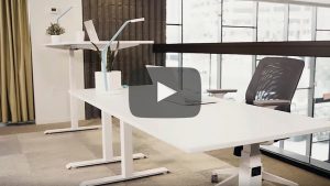 Height Adjustable Standing Desk ModDesk Pro Video