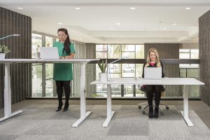 Best Standing Office Desk MultiTable