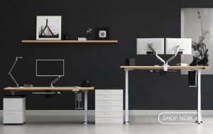 Mod E2 Adjustable Height Standing Desk MultiTable