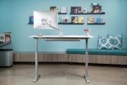 Standing Desk FlexTable